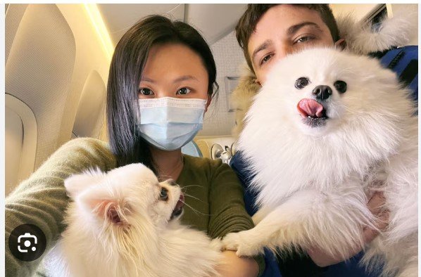 帶寵物去日本旅行：完整規劃指南